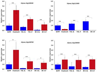 C-terminally encoded peptide-like genes are associated with the development of primary root at qRL16.1 in soybean